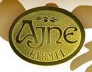 Ajne Carmel