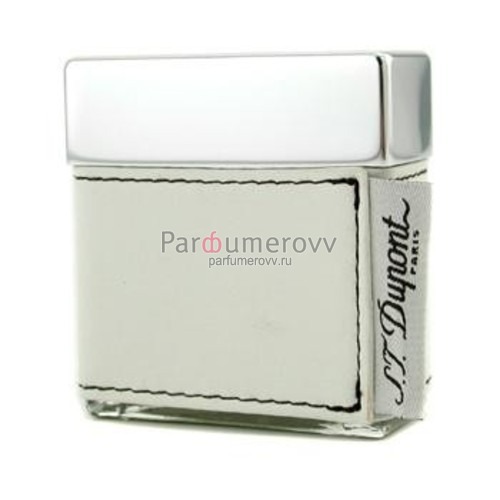 DUPONT PASSENGER edp (w) 30ml DUPONT PASSENGER edp (w) 30ml
