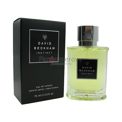 DAVID BECKHAM INSTINCT edt (m) 75ml DAVID BECKHAM INSTINCT edt (m) 75ml