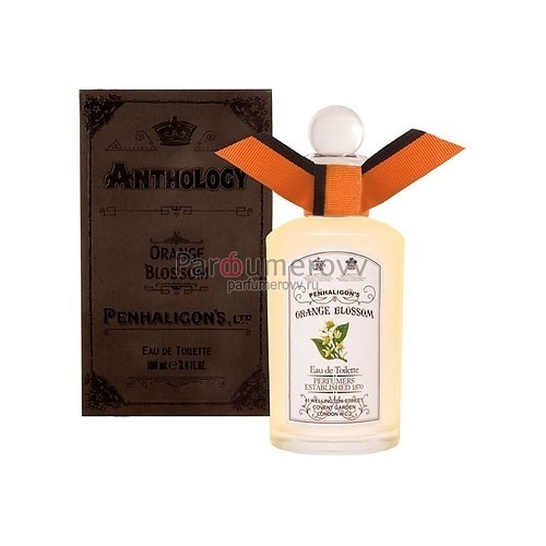PENHALIGONS ANTHOLOGY ORANGE BLOSSOM edt (w) 100ml PENHALIGONS ANTHOLOGY ORANGE BLOSSOM edt (w) 100ml