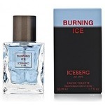 Iceberg Burning Ice