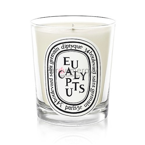 DIPTYQUE EUCALYPTUS 190g свеча DIPTYQUE EUCALYPTUS 190g свеча