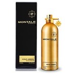 Montale Aoud Ambre