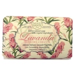 Nesti Dante Lavanda Rosa Del Chianti Nesti Dante Lavanda Rosa Del Chianti