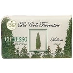 Nesti Dante Regenerating Cypress Tree Nesti Dante Regenerating Cypress Tree