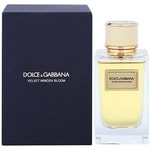 Dolce & Gabbana Velvet Mimosa Bloom