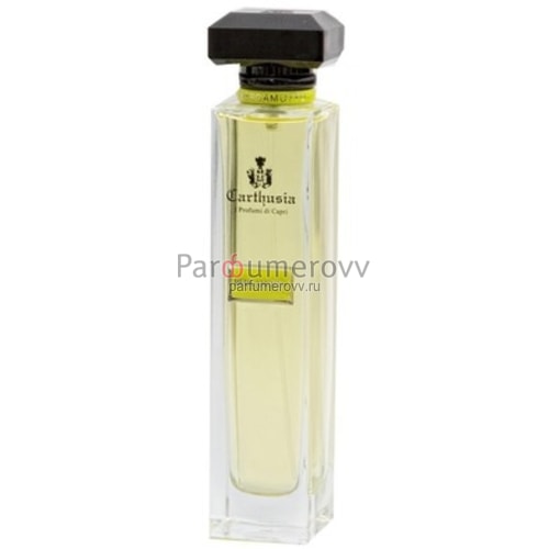 CARTHUSIA ACQUA DI CARTHUSIA BERGAMOTO edp 100ml TESTER CARTHUSIA ACQUA DI CARTHUSIA BERGAMOTO edp 100ml TESTER