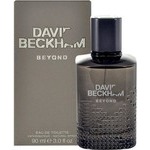 David Beckham Beyond David Beckham Beyond