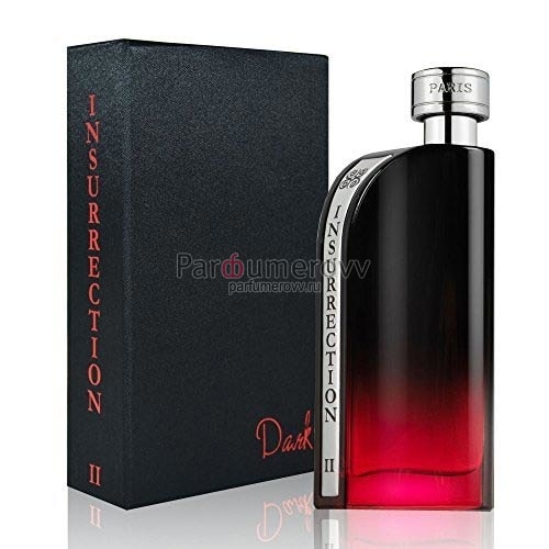REYANE TRADITION INSURRECTION II DARK edt (m) 90ml REYANE TRADITION INSURRECTION II DARK edt (m) 90ml