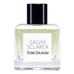 Tom Daxon Salvia Sclarea Tom Daxon Salvia Sclarea