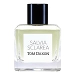 Tom Daxon Salvia Sclarea