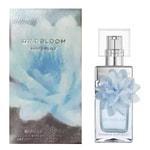 Banana Republic Wildbloom Waterlily