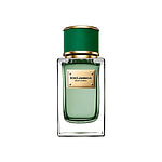 Dolce & Gabbana Velvet Cypress Dolce & Gabbana Velvet Cypress