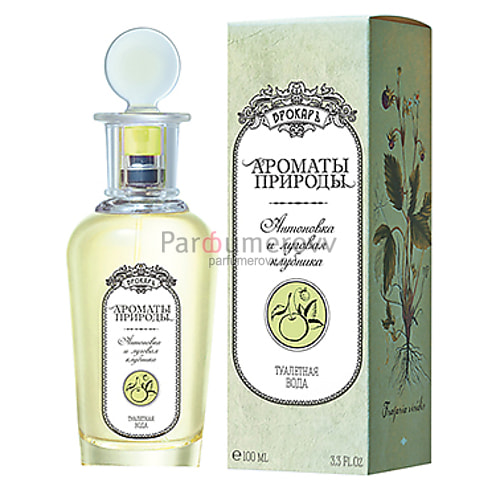 BROCARD АНТОНОВКА И ЛУГОВАЯ КЛУБНИКА edt (w) 100ml