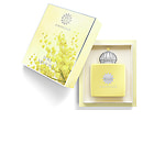 Amouage Love Mimosa For Women Amouage Love Mimosa For Women