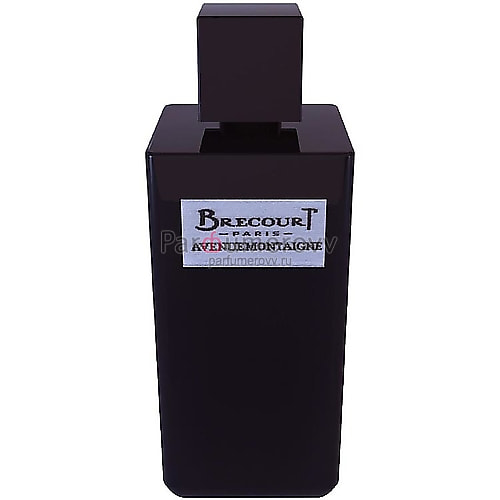 BRECOURT AVENUE MONTAIGNE edp (w) 100ml TESTER BRECOURT AVENUE MONTAIGNE edp (w) 100ml TESTER