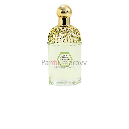 GUERLAIN AQUA ALLEGORIA LAURIER REGLISSE edt (w) 125ml TESTER GUERLAIN AQUA ALLEGORIA LAURIER REGLISSE edt (w) 125ml TESTER