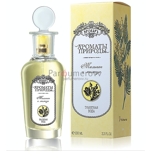 BROCARD ТЮЛЬПАН И МИМОЗА edt (w) 100ml BROCARD ТЮЛЬПАН И МИМОЗА edt (w) 100ml