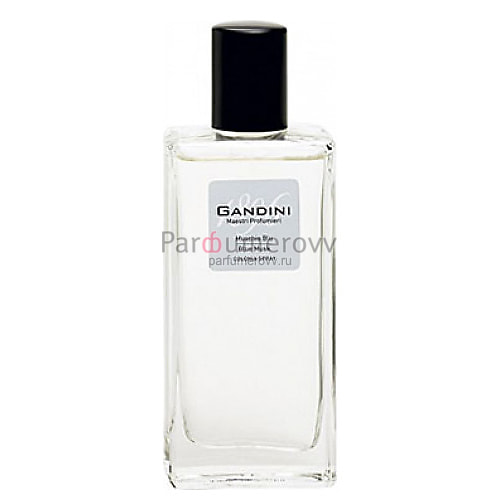 GANDINI BLUE MUSK edt 100ml GANDINI BLUE MUSK edt 100ml