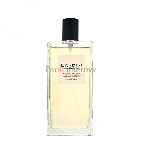 GANDINI POMPELMO ED AGRUMI edt 100ml TESTER GANDINI POMPELMO ED AGRUMI edt 100ml TESTER