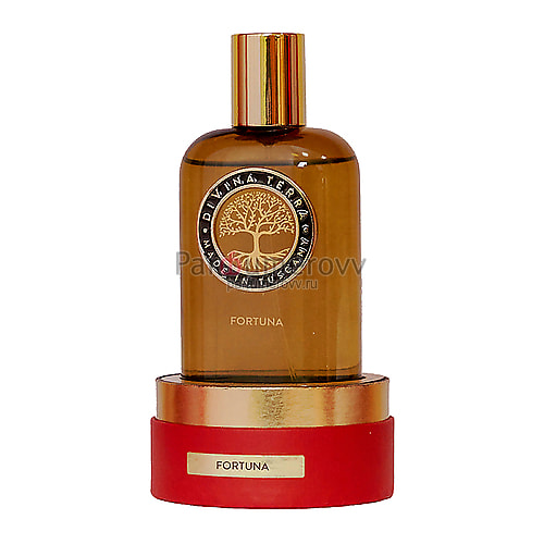 DIVINA TERRA FORTUNA 100ml parfume DIVINA TERRA FORTUNA 100ml parfume