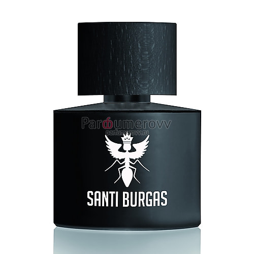SANTI BURGAS PALINDROME II edp 100ml TESTER SANTI BURGAS PALINDROME II edp 100ml TESTER