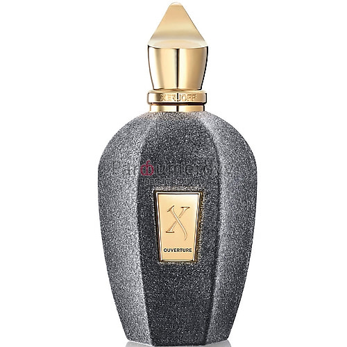 XERJOFF OUVERTURE edp 100ml XERJOFF OUVERTURE edp 100ml