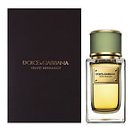 Dolce & Gabbana Velvet Bergamot