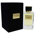 Dolce & Gabbana Velvet Vetiver