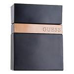 Guess Seductive Homme Noir