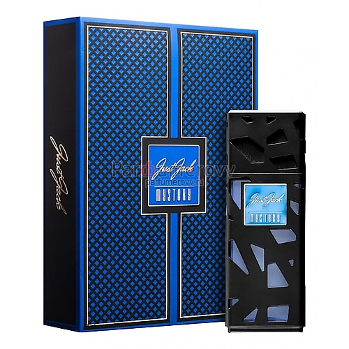 JUST JACK MYSTERY edp (m) 100ml JUST JACK MYSTERY edp (m) 100ml