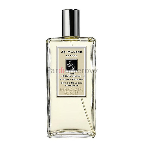 JO MALONE PINE & EUCALYPTUS edc 200ml JO MALONE PINE & EUCALYPTUS edc 200ml
