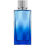 ABERCROMBIE & FITCH FIRST INSTINCT TOGETHER edt (m) 100ml TESTER