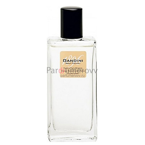 GANDINI ORANGE BLOSSOM AND LEAVES edt (w) 50ml TESTER GANDINI ORANGE BLOSSOM AND LEAVES edt (w) 50ml TESTER