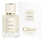 Chloe Atelier Des Fleurs Hibiscus Abelmoschus Chloe Atelier Des Fleurs Hibiscus Abelmoschus
