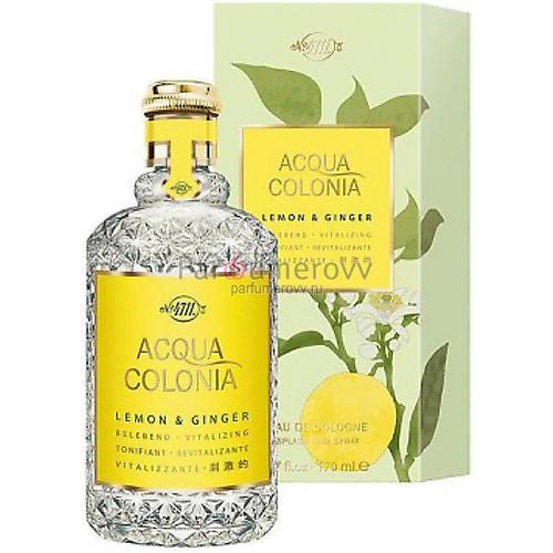 MAURER & WIRTZ 4711 ACQUA COLONIA LEMON & GINGER edc 170ml MAURER & WIRTZ 4711 ACQUA COLONIA LEMON & GINGER edc 170ml