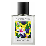 The 7 Virtues Blackberry Lily The 7 Virtues Blackberry Lily