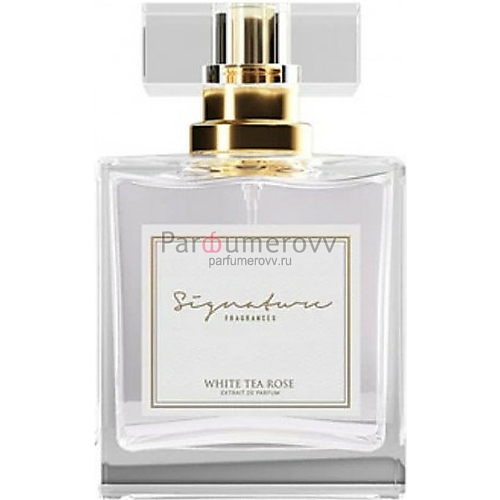 SIGNATURE FRAGRANCES WHITE TEA ROSE 100ml parfume SIGNATURE FRAGRANCES WHITE TEA ROSE 100ml parfume