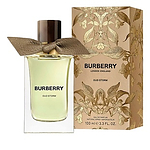 Burberry Oud Storm