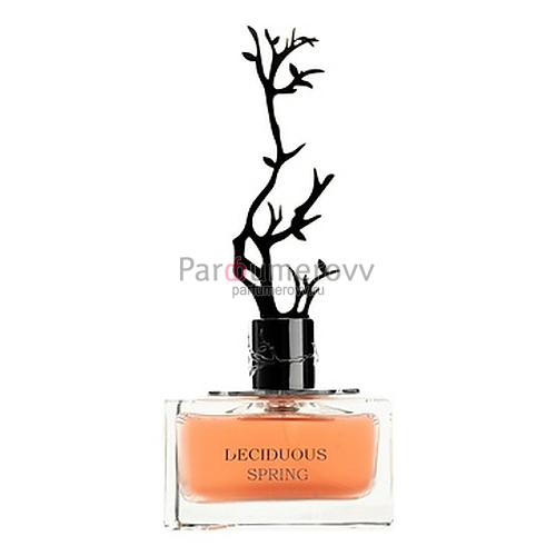 AURORA SCENTS DECIDUOUS SPRING edp (w) 100ml AURORA SCENTS DECIDUOUS SPRING edp (w) 100ml