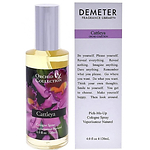 Demeter Fragrance Cattleya Orchid Collection