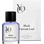 You Black Currant Leaf You Black Currant Leaf