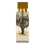 Al Jazeera Perfumes Sidra Wood