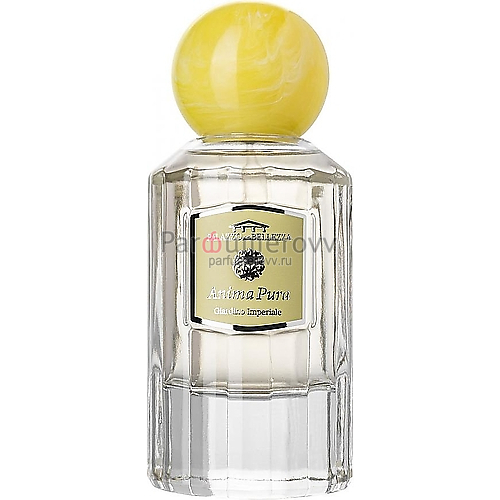 PALAZZO DELLA BELLEZZA ANIMA PURA edp (w) 50ml PALAZZO DELLA BELLEZZA ANIMA PURA edp (w) 50ml