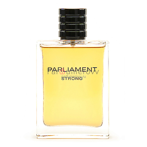 PARFUMS GENTY PARLIAMENT STRONG edt (m) 100ml TESTER PARFUMS GENTY PARLIAMENT STRONG edt (m) 100ml TESTER