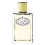 Prada Milano Les Infusion De Gingembre