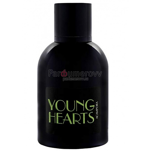 BRUNO ACAMPORA YOUNG HEARTS edp 100ml BRUNO ACAMPORA YOUNG HEARTS edp 100ml