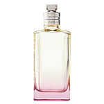 Dries Van Noten Orange Smoke