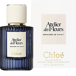 Chloe Atelier Des Fleurs Orchidee De Minuit