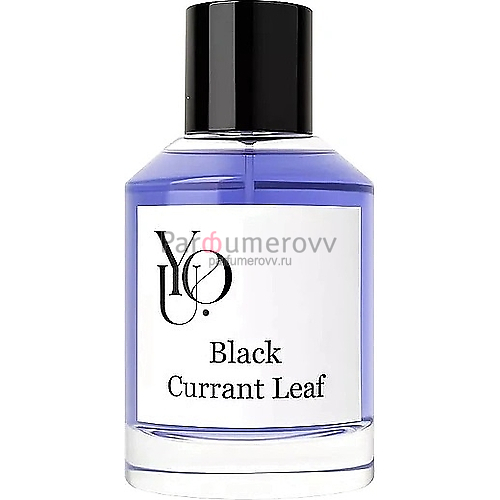 YOU BLACK CURRANT LEAF edp (w) 100ml TESTER